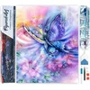 Image de Figured'Art Diamond Painting set Volwassenen 40x50 cm Kleur vlinder - 5D DIY Art full drill vierkante diamant - Opgerold canvas