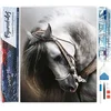 Image de Figured'Art Diamond Painting set Volwassenen 40x50 cm Geweldig paard - 5D DIY Art full drill vierkante diamant - Opgerold canvas