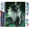 Image de Figured'Art Diamond Painting set Volwassenen 40x50 cm Mooie kat - 5D DIY Art full drill vierkante diamant - Opgerold canvas