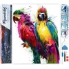 Image de Figured'Art Diamond Painting set Volwassenen 40x50 cm Papegaaien in schilderij - 5D DIY Art full drill vierkante diamant - Opgerold canvas
