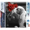 Image de Figured'Art Diamond Painting set Volwassenen 40x50 cm Hond en Roos - 5D DIY Art full drill vierkante diamant - Opgerold canvas