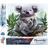Image de Figured'Art Diamond Painting set Volwassenen 40x50 cm Koala familie - 5D DIY Art full drill vierkante diamant - Opgerold canvas