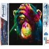 Image de Figured'Art Diamond Painting set Volwassenen 40x50 cm Aap Kleur - 5D DIY Art full drill vierkante diamant - Opgerold canvas