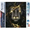 Image de Figured'Art Diamond Painting set Volwassenen 40x50 cm Zwarte Leeuw - 5D DIY Art full drill vierkante diamant - Opgerold canvas