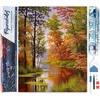Image de Figured'Art Diamond Painting set Volwassenen 40x50 cm Meer in de herfst - 5D DIY Art full drill vierkante diamant - Opgerold canvas