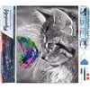Image de Figured'Art Diamond Painting set Volwassenen 40x50 cm Kat en vlinder kleurrijk - 5D DIY Art full drill vierkante diamant - Opgerold canvas