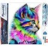 Image de Figured'Art Diamond Painting set Volwassenen 40x50 cm Kleurrijke kitten - 5D DIY Art full drill vierkante diamant - Opgerold canvas