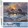Image de Figured'Art Schilderen op Nummer Volwassenen canvas Drie paarden en zee - Handwerk acrylverf Kit DIY Compleet - 40x50cm zonder frame