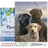 Image de Figured'Art Schilderen op Nummer Volwassenen met lijst - Drie Labradors - Handwerk acrylverf Kit DIY Compleet - 40x50cm Canvas al ingelijst