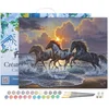 Image de Figured'Art Schilderen op Nummer Volwassenen met lijst - Drie paarden en zee - Handwerk acrylverf Kit DIY Compleet - 40x50cm Canvas al ingelijst