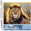 Image de Figured'Art Schilderen op Nummer Volwassenen canvas Leeuw in de savanne - Handwerk acrylverf Kit DIY Compleet - 40x50cm zonder frame