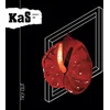 Image de Kas Product - Try Out (LP)