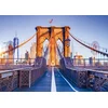 Image de Alipson Puzzle legpuzzel Brooklyn New York 1000 stukjes kleurrijk.