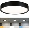 Image de Selection Bathroom LED-plafondlamp Tega IP44 White Switch 1200lm 230V 22,5W Zwart mat