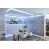 Image de PAULMANN MaxLED 250 LED-strip instelbaar wit 100 cm zilver ongecoat