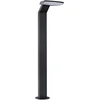 Image de LED-bolderlamp Zenera zeewater bestendig IP44 670mm 3000K 10W 700lm 230V Antraciet Metaal