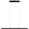 Image de Paulmann LED-hanglamp URail 42 W LED Zwart (mat)