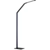 Image de Fischer & Honsel Geri - Vloerlamp - hoogte 133 cm - LED 8 W - 810 lumen - Dimbaar - 4 kleurtemperaturen - Antraciet
