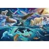 Image de Schmidt - Legpuzzel - Dieren in het Noordpoolgebied - 150 stukjes - Kinderen - vanaf 7 jaar