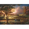 Image de Schmidt - Legpuzzel - Zonnegoud boven rijpe velden - Terry Redlin - 1000 stukjes - Volwassenen - vanaf 12 jaar