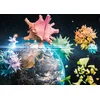 Image de Schmidt puzzel Planet Earth 2020 - legpuzzel 1000 stukjes.
