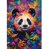 Image de Schmidt - Legpuzzel - Panda in het regenboogbos - 1000 stukjes - Volwassenen - vanaf 12 jaar
