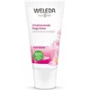 Image de WELEDA - Vitaliserende Dagcrème - Wilde Rozen - 30ml - 100% natuurlijk