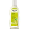 Image de WELEDA Pluimgierst Milde Shampoo - Grapefruit & Pepermunt - Milde Shampoo Voor Frequent Gebruik - Behoudt Natuurlijke Veerkracht Van Haar - 100% Natuurlijke Ingrediënten - 190ml