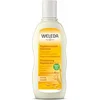 Image de WELEDA Haver Regenerende Shampoo - Bloemen & Cederhout - Herstellend - Droog & Beschadigd Haar - Voedt En Herstelt Droog & Beschadigd Haar - 100% Natuurlijke Ingrediënten - 190ml