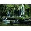 Image de Heye Magic Forest - Puzzel - 1000 stukjes