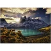 Image de Heye puzzel Guanacos - 1000 stukjes