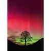 Image de Heye puzzel Sycamore Gap 1000 stukjes - Power of Nature puzzel.