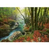 Image de Heye   Magic Forests   Legpuzzel   1000 stukjes   Nicolas Otto