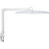 Image de MAULexplore Bureaulamp - LED - Wit - Dimbaar - Tafellamp met Klem