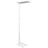 Image de MAULjaval LED Vloerlamp - dimmbaar - standvoet - wit - 1 stuk - 61 x 28 x 196 cm - MAUL