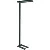 Image de MAULjaval LED Vloerlamp - dimmbaar - standvoet - zwart - 1 stuk - 61 x 28 x 196 cm - MAUL