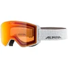 Image de Skibril Alpina Alpina Narkoja Q-Lite White