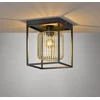 Image de Fischer & Honsel Caydo - Plafondlamp - 23 x 23 x 28.5 cm - 1 E27 ( excl.) max 40W - Zwart/Goud