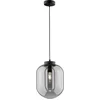 Image de Fischer & Honsel - Hanglamp Regi - 1x E27 max. 40 W (excl. lichtbron) - Ø 24 cm - hoogte 140cm - Mat Zwart Metaal - Rookglas
