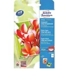 Image de Avery-Zweckform Premium Photo Paper Inkjet C2550-50 Fotopapier 10 x 15 cm 250 g/m² 50 vellen Hoogglans