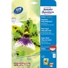 Image de Avery-Zweckform Premium 2559-20 Fotopapier DIN A4 250 g/m² 20 vellen Zijdemat