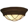 Image de Brilliant TYPHOON - Plafondlamp - Roestkleurig;Zwart