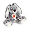 Image de Knuffel Haas