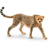Image de Schleich Safari - LUIPAARD, WIJFJE 14746