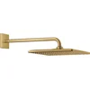 Image de GROHE Rainshower 310 Mono Cube Hoofddoucheset - Douchekop - Cool Sunrise - 26564GN0
