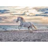 Image de Ravensburger puzzel paard strand - 500 stukjes legpuzzel dieren.