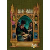 Image de Erwachsenenpuzzle 1000 Teile - Harry Potter und der Halbblutprinz Physical