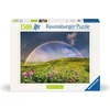 Image de Puzzel Spectaculaire regenboog 1500pcs