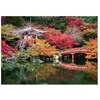 Image de Puzzel Daigo-ji, Kyoto, Japan 1000pcs