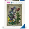 Image de Butterfly